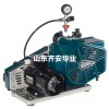 杭州海洋馆用L&W呼吸器充气空气压缩机LW 100