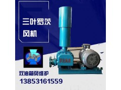 销售供应罗茨鼓风机 多种规格助燃用三叶罗茨鼓风机图1