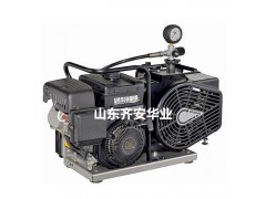 LW空气压缩机000644活性炭滤芯德国爱安达图1