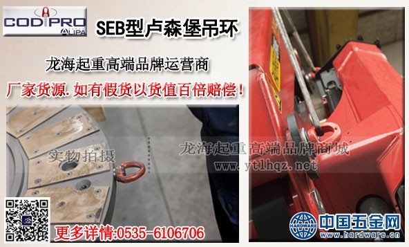 SEB型卢森堡吊环案例