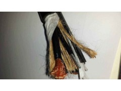 起重机电缆RVV-NBR卷盘电缆图1