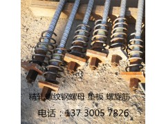 边坡支护对拉杆 桥梁模板拉杆钢筋厂图1