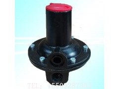 燃气安全放散阀 燃气超压自动放散阀图1