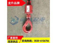 LHXZ-30型/3吨油田旋转吊钩,油田钻机配套油田旋转钩图1