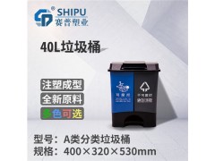 重庆直销A型40L双桶身分类垃圾桶图1