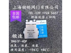 DH61F-40P304不锈钢低温焊接止回阀图1