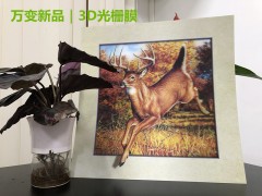 3D变幻卡、3D光栅立体画、裸眼3D光栅膜、厂家直销可定制图1