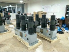 广西南宁ZW32-40.5柱上看门狗真空断路器厂家图1