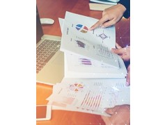 深蓝易网项目管理系统，实现智能管理项目的整个生命周期图1