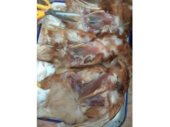 鸡慢瘦，脚爪子肿，站不起来是滑液囊支原体吗？图1