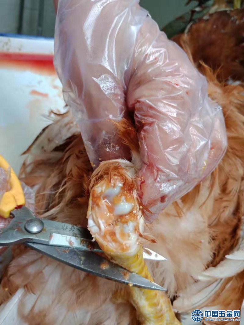 微信图片_201910051504419