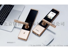 2020第十三届(南京)国际智能家居展览会图1