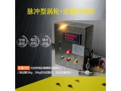 DLPL定量控制加水系统 流量计图1