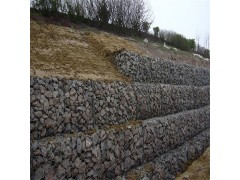 供应上海  锌铝合金格宾网 镀高尔凡石笼网 河道治理石笼网图1