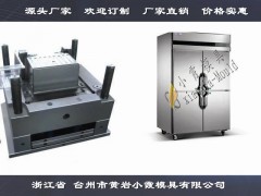 电冰器模具精选厂家图1