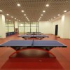 北京乒乓球场地地板 PVC乒乓球地垫