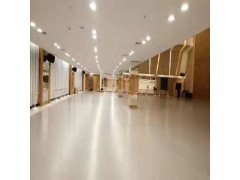 舞蹈学院用什么颜色的 舞蹈PVC地胶图1