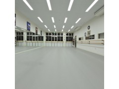 防涩舞蹈地胶 舞蹈地板胶图1