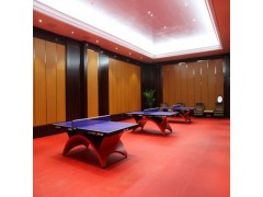 乒乓球馆地垫批发 运动地板胶云南图1