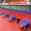 乒乓球塑胶运动地板 体育运动地板 室内运动地板