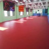 乒乓球运动地板 pvc塑胶运动地板