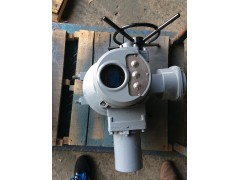 Q120-1W/Z整体型蝶阀控制器图1