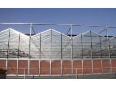 厂家直销温室大棚文洛式大棚 阳光板大棚图1