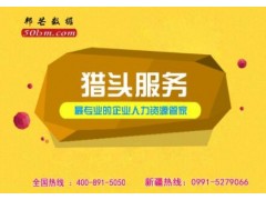 新疆猎头服务_就找邦芒人力_极速寻猎_精准推荐图1