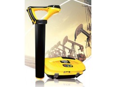 上海雷迪vLP2管线巡视仪图1