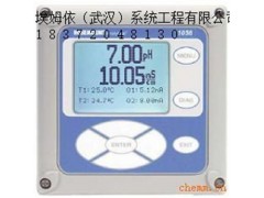 罗斯蒙特分析仪1056-01-20-38-AN图1