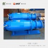 QZB系列落地式轴流潜水电泵机组