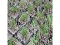 缓坡种植固土绿化防滑格土工格室 坡面种植绿化蜂巢土工格室图1