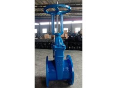 明杆弹性座封闸阀供应商Z41X图1