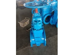 泊头附开度软密封闸阀XZ45X图1