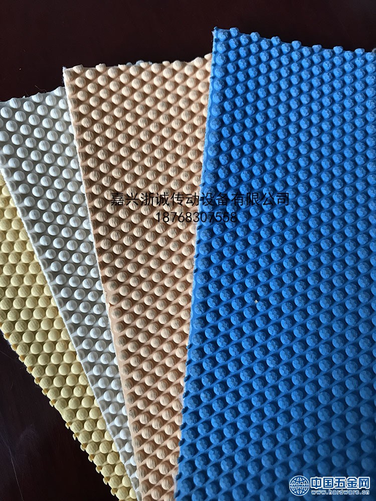 糙面粒面带 (10)