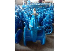 厂家直销锁闭式软密封闸阀SBZ45X图1