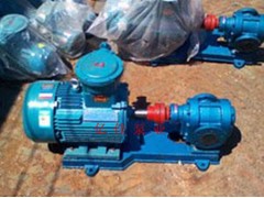 2CY系列齿轮泵 不锈钢泵图1