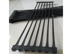 单向土工格栅 抗拉伸防变形 规格定制 施工方便 山东环润图1