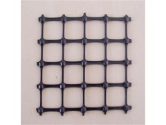 现货直销双向塑料土工格栅 价格低 路基加固强度高 山东环润图1