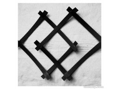 泰安高强度 钢塑土工格栅 拉力强 耐腐蚀 厂家供应 山东环润图1