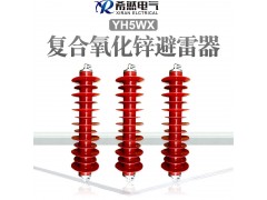 (HY5WX-54/150)线路型/过压保护装置/避雷器图1