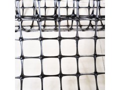 双向塑料土工格栅 抗老化耐腐蚀 质优价廉 厂家直销图1