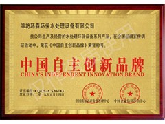 污水处理哪家效果好图1