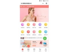 小程序低成本 高收入图1