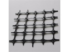 山东环润 塑料格栅 双向塑料土工格栅价格 厂家供应 欢迎选购图1
