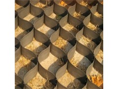 耐用土工格室 护坡绿化蜂巢土工格室 抗老化耐磨损 厂家热销图1