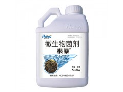 生根剂哪个牌子好-生根剂根暴海和威海餐沃根暴图1