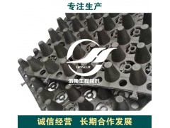 惠州市小区车库顶部种植蓄排水板图1