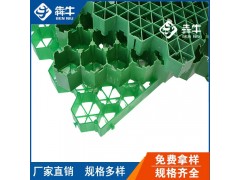 广州植草格草坪消防停车场塑料植草格图1