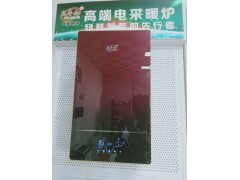 密闭式电壁挂炉什么价格图1